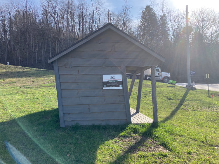 10x12 Wonky Shed - 22OH279 DK