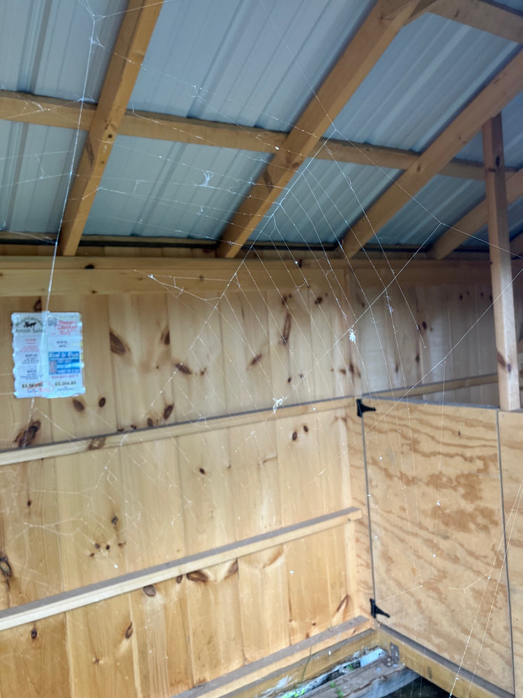 6x12 Run in SHED  - 23-3396-3  Horn